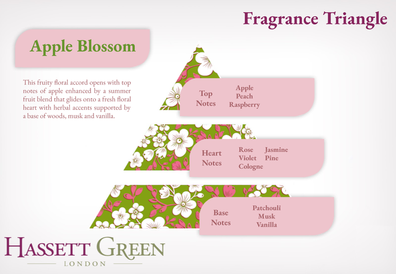 Apple Blossom - Fragrance Oil Reed Diffuser 100ml