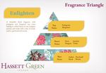 Enlighten - Reed Diffuser and Refill Combination Set