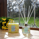 Honeysuckle & Jasmine - Reed Diffuser Duo Set - 2 x 125ml