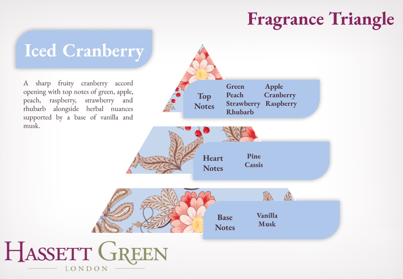 Iced Cranberry - Reed Diffuser Duo Set - 2 x 125ml