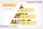 Strawberry - Reed Diffuser Duo Set - 2 x 125ml